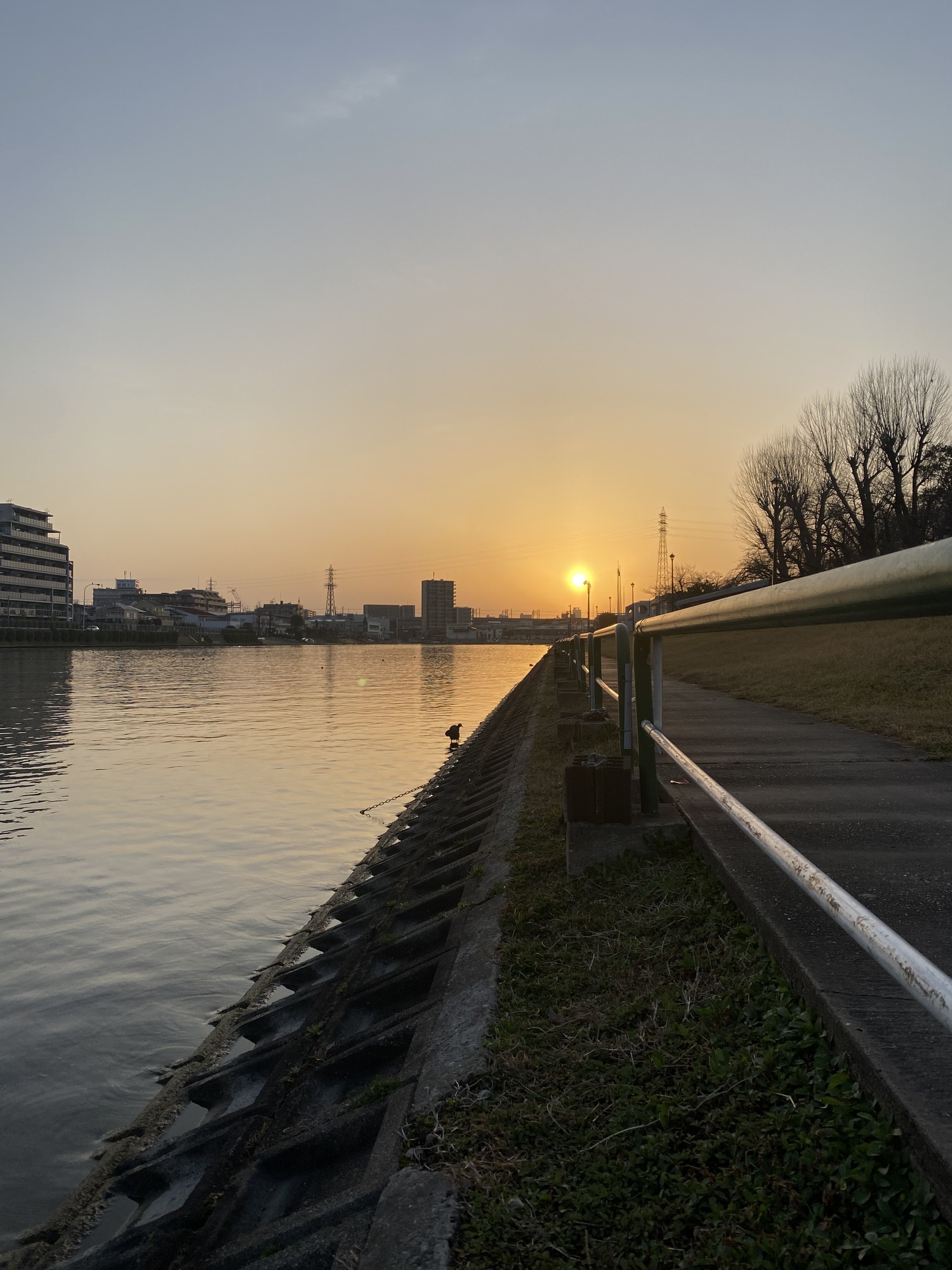 146C636F-814F-46D9-B8CD-FC5C3DE4BC28