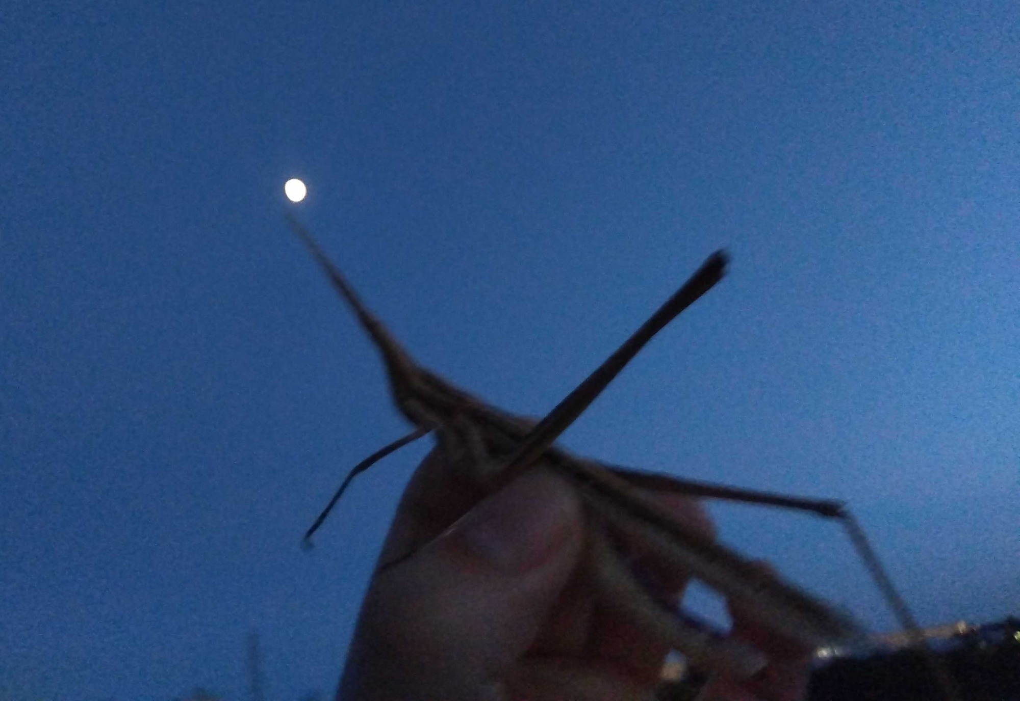 IMG_2023-07-28-19-15-26-457