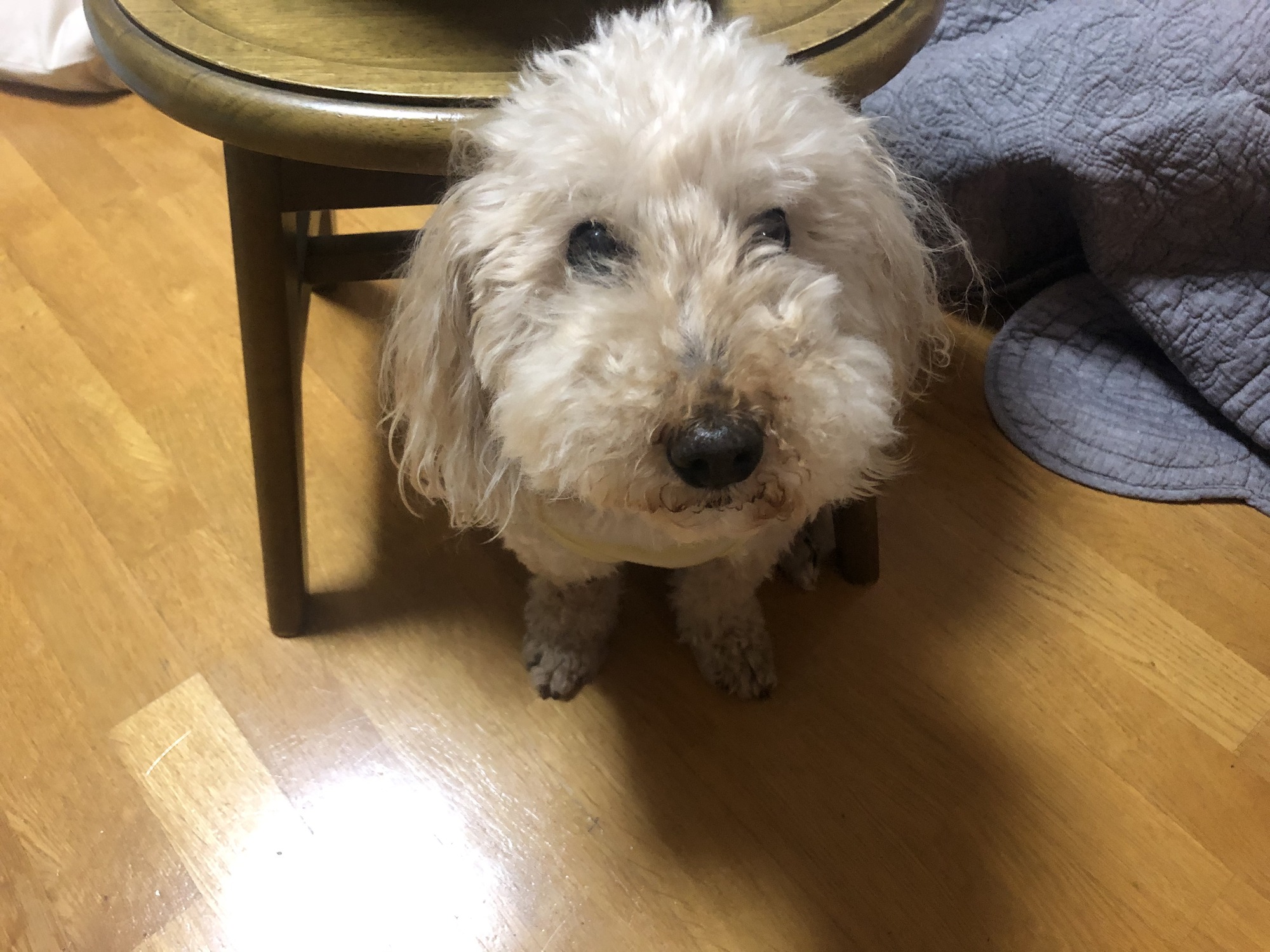 87A811DD-67D0-4081-9592-373829DA00F6