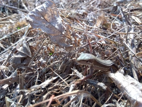 IMG_2023-11-04-09-50-43-759