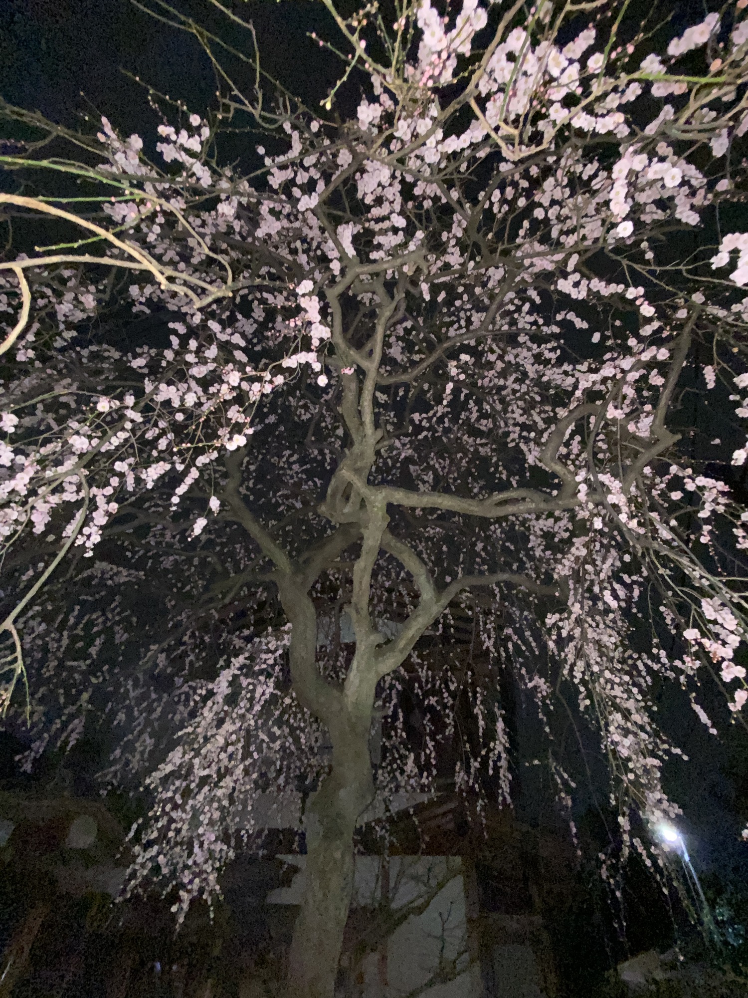 0025B72D-A381-4ED4-99E4-F69F088A4C72