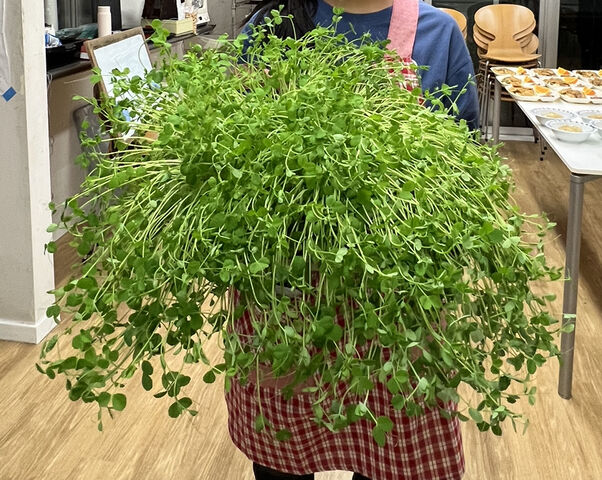 F3F87646-6D32-4977-920B-D8A6F12475B7