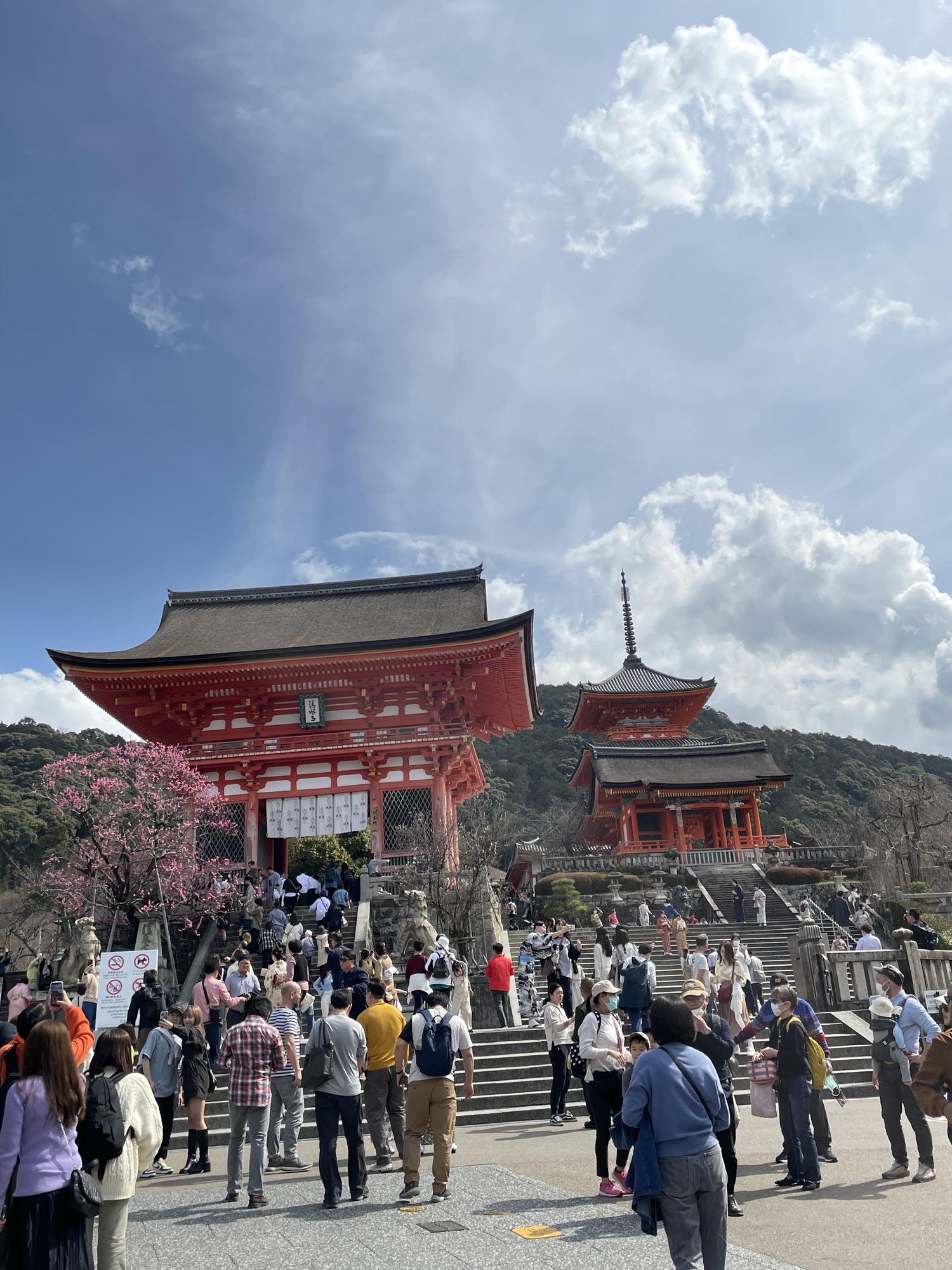 FD7203FA-27C0-4EC1-A37B-AE66CD606BD8