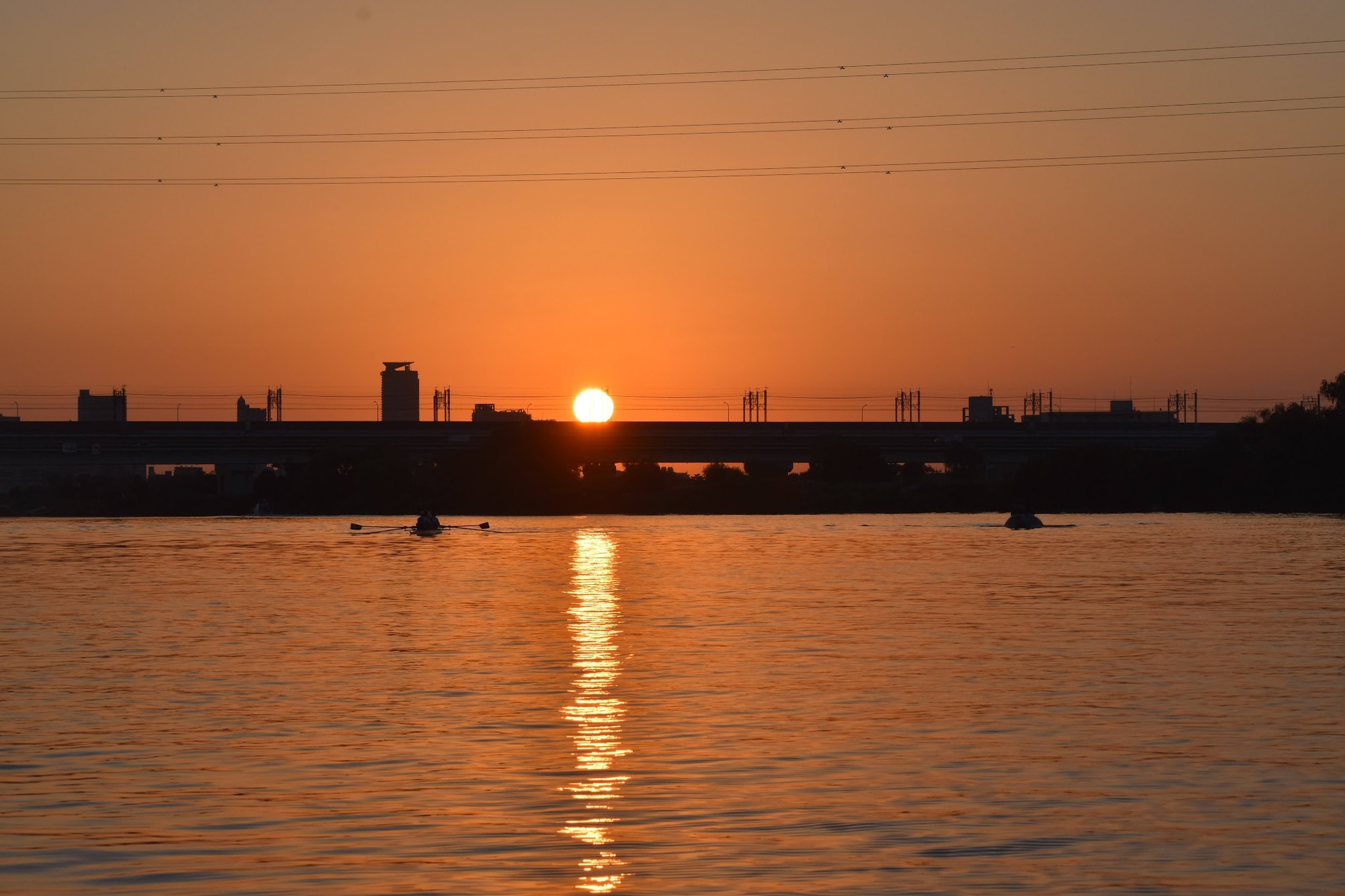 DSC_0023.NEF