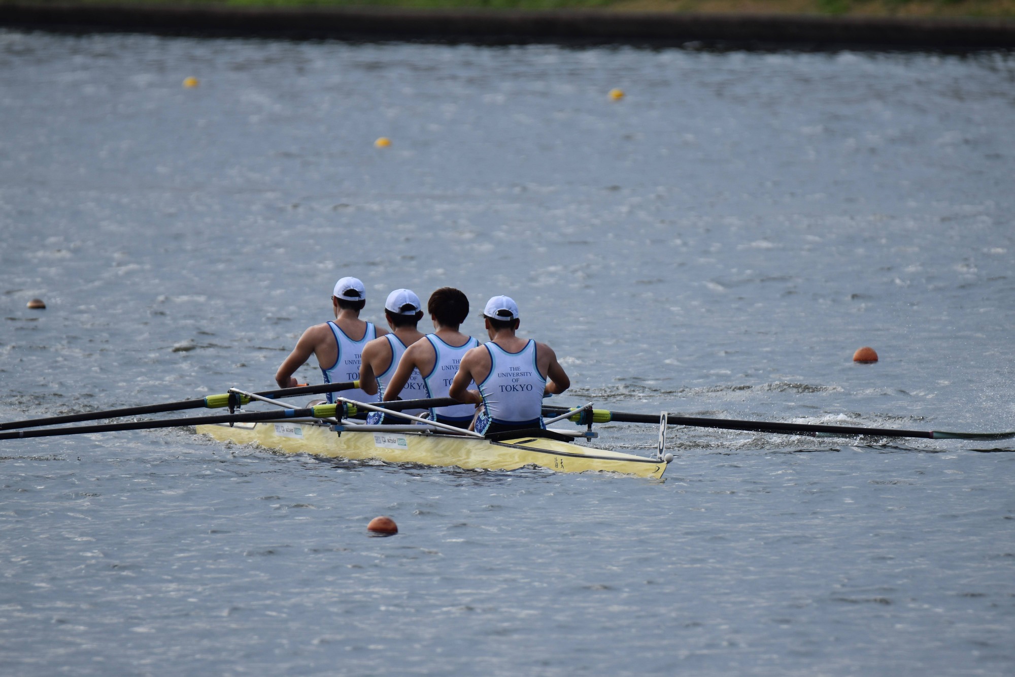 D7017393-88EB-457F-85E4-942388D4C834